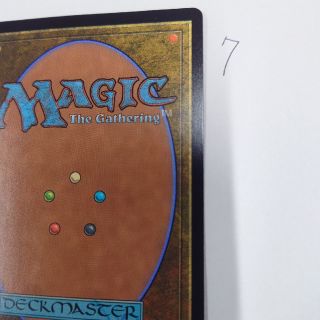 マジックザギャザリング(マジック：ザ・ギャザリング)のMTGカード裏面7(シングルカード)