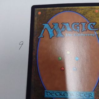 マジックザギャザリング(マジック：ザ・ギャザリング)のMTGカード裏面9(シングルカード)