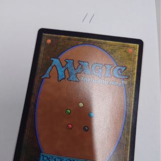 マジックザギャザリング(マジック：ザ・ギャザリング)のMTGカード裏面11(シングルカード)