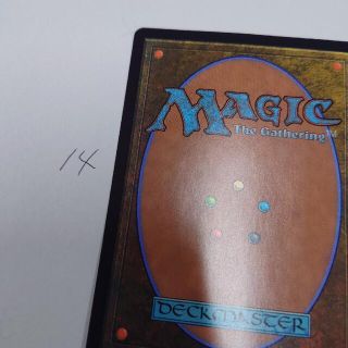 マジックザギャザリング(マジック：ザ・ギャザリング)のMTGカード裏面14(カード)