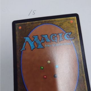 マジックザギャザリング(マジック：ザ・ギャザリング)のMTGカード裏面15(シングルカード)