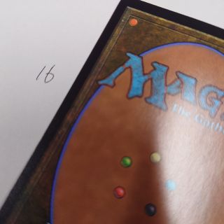 マジックザギャザリング(マジック：ザ・ギャザリング)のMTGカード裏面16(シングルカード)