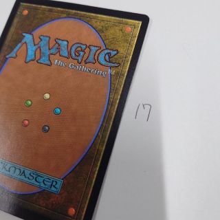 マジックザギャザリング(マジック：ザ・ギャザリング)のMTGカード裏面17(カード)