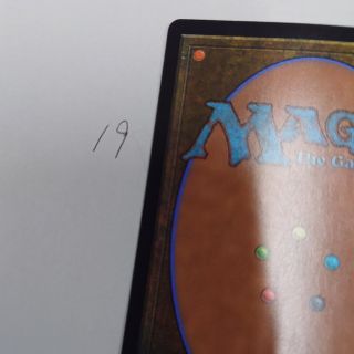 マジックザギャザリング(マジック：ザ・ギャザリング)のMTGカード裏面19(シングルカード)