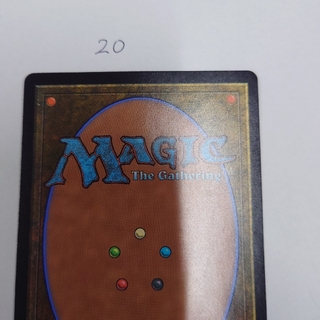 マジックザギャザリング(マジック：ザ・ギャザリング)のMTGカード裏面20(シングルカード)