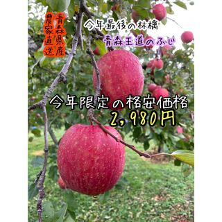 王道の林檎　ふじ　大人気　今年限定格安　農家直送　りんご(ふじ)　7〜8キロ(フルーツ)