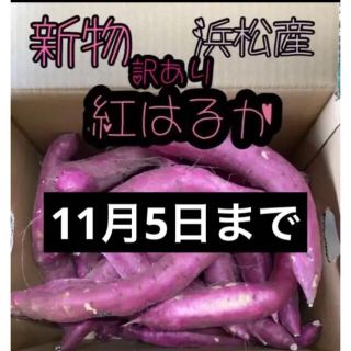 大セール！【訳あり】静岡県産 紅はるか 5キロ サツマイモ さつまいも 5kg(野菜)