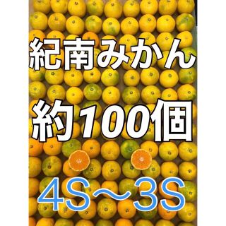  r023 紀南みかん 100個ぐらい 箱込み5kg 小粒ミニサイズ(フルーツ)