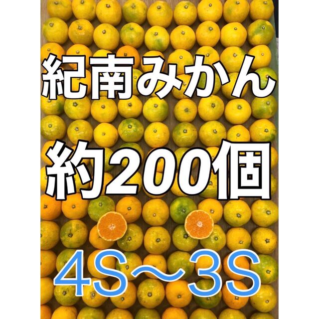 r024 紀南みかん 200個ぐらい 箱込み10kg 小粒ミニサイズ 食品/飲料/酒の食品(フルーツ)の商品写真