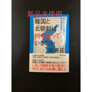 韓国と北朝鮮は何を狙っているのか(人文/社会)