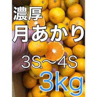 r027 濃厚「月あかり」3kg みかん 3Sサイズ　和歌山県(フルーツ)