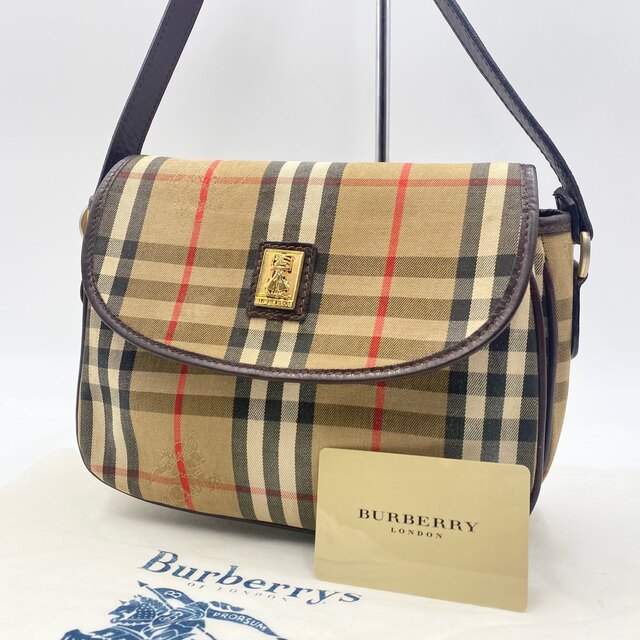 BURBERRY - ✨超希少✨バーバリー ショルダーバッグ シェルター ノバ