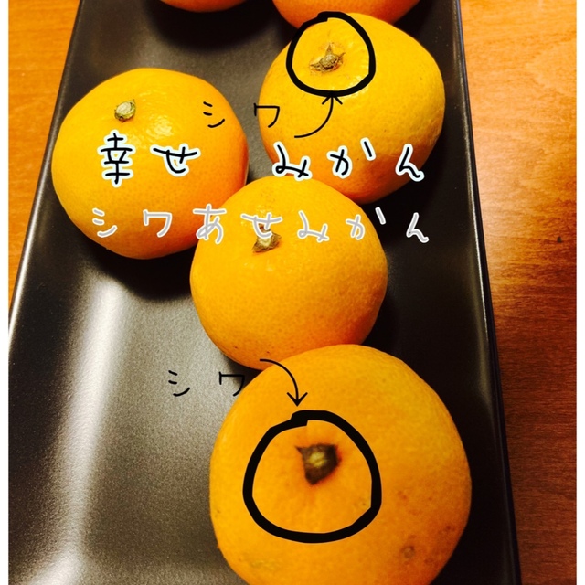 有田みかん　幸せみかん　10Kg 食品/飲料/酒の食品(フルーツ)の商品写真