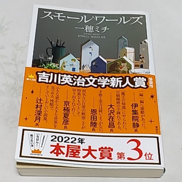 講談社(コウダンシャ)のスモールワールズ エンタメ/ホビーの本(文学/小説)の商品写真