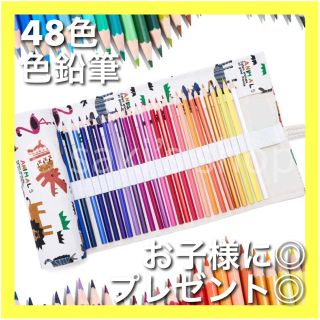 色鉛筆　48色　ペンケース　油性　子供　ペンケース　キャンパス　収納ケース　動物(色鉛筆)