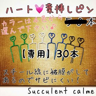 【専用】ハート♡葉挿しピン３０本(その他)