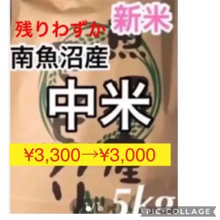 11/6迄！令和4年産　新米　中米　新潟県南魚沼産コシヒカリ　5kg 精米(米/穀物)