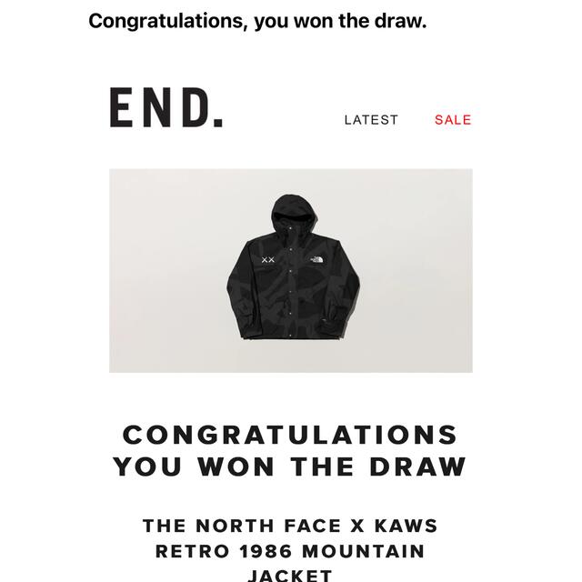 The North Face Kaws Retro マウンテンジャケット