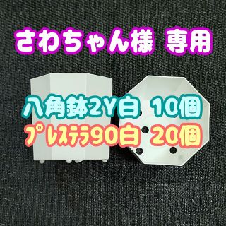 《2Y》カネヤ 八角鉢 白 10個 他 プラ鉢 多肉植物 プレステラ(プランター)