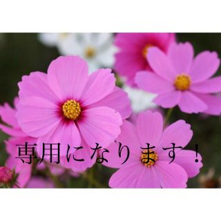 ⭐️りよ様専用⭐️