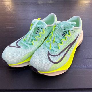 ナイキ(NIKE)のナイキ ズームフライ5 サイズ29cm(シューズ)