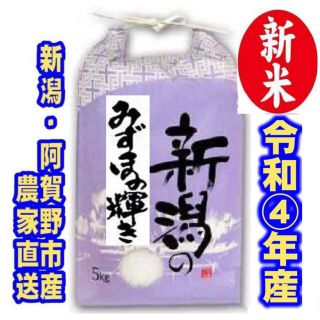 新米・令和4年産新潟みずほの輝き★色彩選別済白米5㌔×1個★幻の農家専用05(米/穀物)