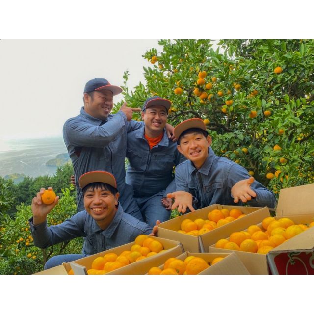 🍊今が旬🍊天晴みかん　ご家庭用（訳あり）　2ｋｇ（20個前後） 食品/飲料/酒の食品(フルーツ)の商品写真