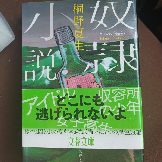 奴隷小説 エンタメ/ホビーの本(その他)の商品写真