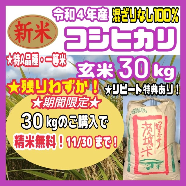 茨城県産　2022年米　コシヒカリ　玄米/30キロ（普通精米無料）