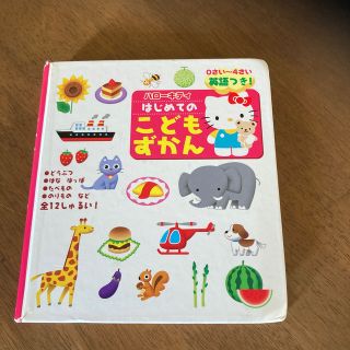 サンリオ(サンリオ)のハロ－キティはじめてのこどもずかん 英語つき！(絵本/児童書)