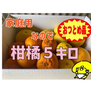 『おつとめ品-愛媛産-柑橘5キロ詰め合わせ』(フルーツ)