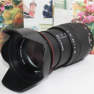 シグマ(SIGMA)の❤️これ1本で近遠対応❤️シグマ 28-200mm ソニーa マウント用❤️(デジタル一眼)