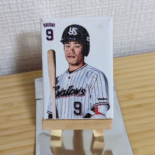 東京ヤクルトスワローズ - ヤクルトスワローズ スワポン ミニ