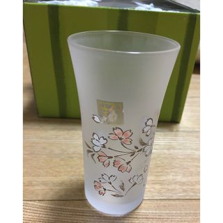 タチキチ(たち吉)のたち吉　一口ビールコップ5個セット(グラス/カップ)