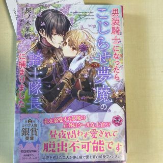 男装騎士になったらこじらせ夢魔の騎士隊長に捕まりました　灰ノ木朱風　ペーパー付き(文学/小説)