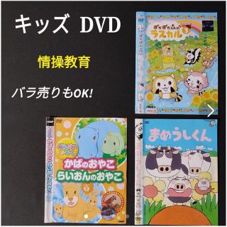 3枚★動物親子 あらいぐまラスカル まめうしくん 情操教育 知育 DVDセット(アニメ)