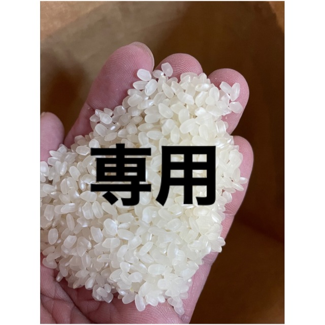 ひかり様、専用③ 令和4年岡山県無農薬朝日米・玄米20キロ 2022人気の