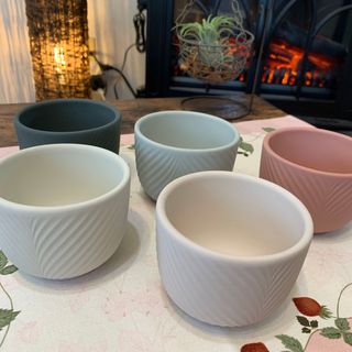 ウェッジウッド(WEDGWOOD)の未使用　ウェッジウッド  ジャスパー　ジャパニーズティーカップ　湯呑　5色揃い(食器)