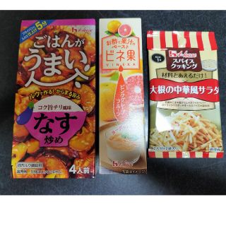 ごはんがうまい なす炒め ＆ビネ果　グレープフルーツ＆大根の中華風サラダ(調味料)