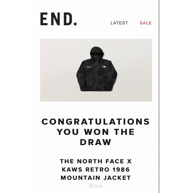 THE NORTH FACE(ザノースフェイス)の◆THE NORTH FACE × KAWS 1986 マウンテンジャケット L メンズのジャケット/アウター(マウンテンパーカー)の商品写真