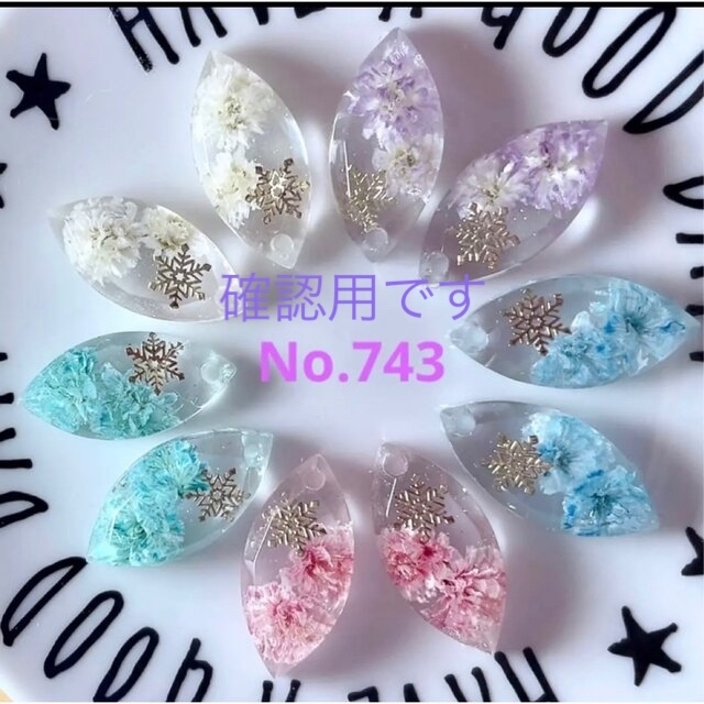 オーダー用ですNo.743♡チャーム♪ホール付きレジンパーツ♪押し花♪冬 ...