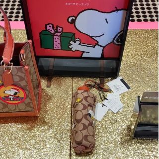 コーチ(COACH)のCOACH×PEANUTS　ミニアンブレラ(傘)