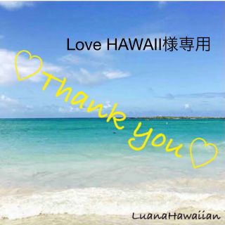 Love HAWAII様専用ページ(ハンカチ)