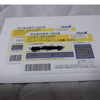 エーエヌエー(ゼンニッポンクウユ)(ANA(全日本空輸))のANA 株主優待券　2枚　株主優待(その他)