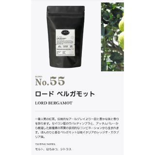 No.55 ロードベルガモット STEVEN SMITH TEAMAKER(茶)