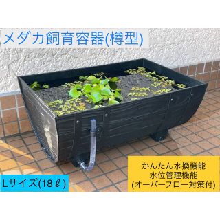 メダカ飼育容器(樽型) 【18L】「かんたん水換え機能」&「水位管理機能」付(アクアリウム)