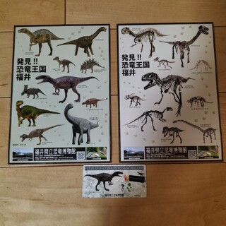 福井県立恐竜博物館　シール&マグネット(美術館/博物館)