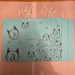 ティファニー(Tiffany & Co.)のティファニー 紙袋 Ｌサイズ キャットストリート限定 １枚 現行品 2枚(その他)