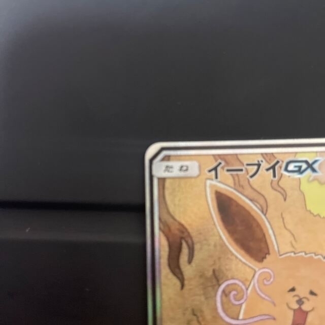 イーブイ gx sa sr (訳ありセール 格安) www.panda92.fr