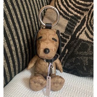 トレフォイル 新品 COACH PEANUTS スヌーピー コラボ キーリング
